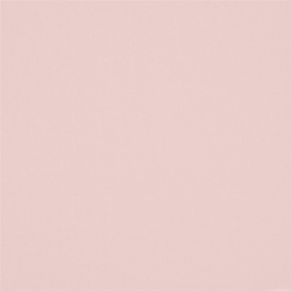 5 L Wandfarbe - Bunt Baby Rosa