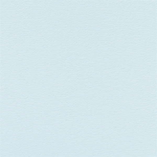 Helle Blaubeere